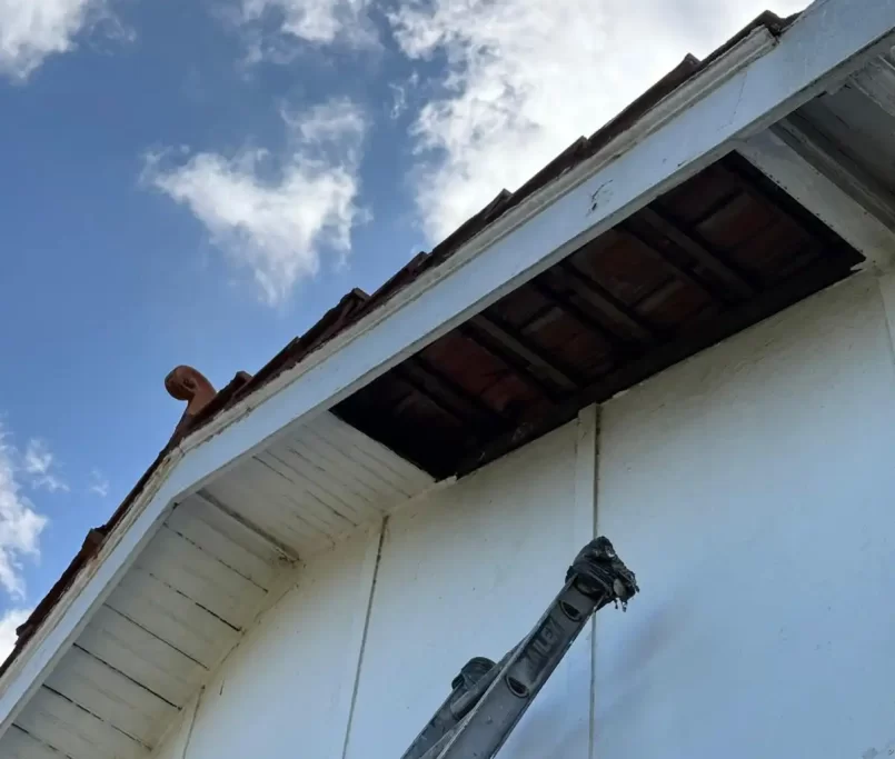 Facade Repainting - Glen Iris